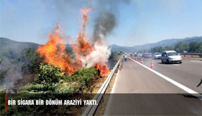 Bir sigara bir dönüm araziyi yaktı