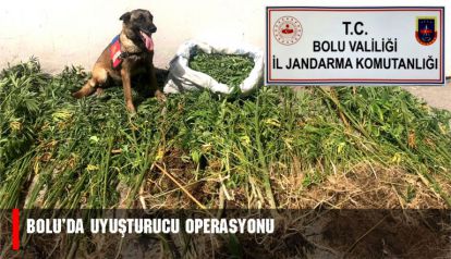 Bolu'da uyuşturucu operasyonu: 3 tutuklama