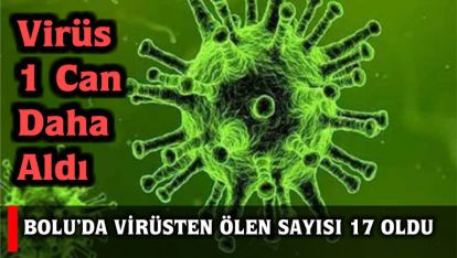 BOLU'DA VİRÜSTEN ÖLEN SAYISI 17 OLDU