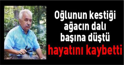 oğlunun kestiği ağacın dalı başına düşen adam öldü