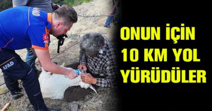 10 KM YÜRÜDÜLER