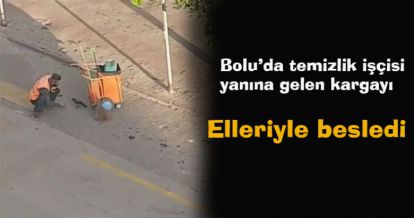 Bolu'da temizlik işçisi yanına gelen kargayı elleriyle besledi