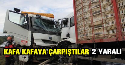 2 KAMYON KAFA KAFAYA ÇARPIŞTI