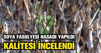 HASAT YAPILDI