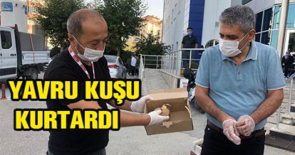 YAVRU KUŞU DOKTOR KURTARDI