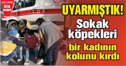 UYARMIŞTIK; SOKAK KÖPEKLERİ BİR KADININ KOLUNU KIRDI