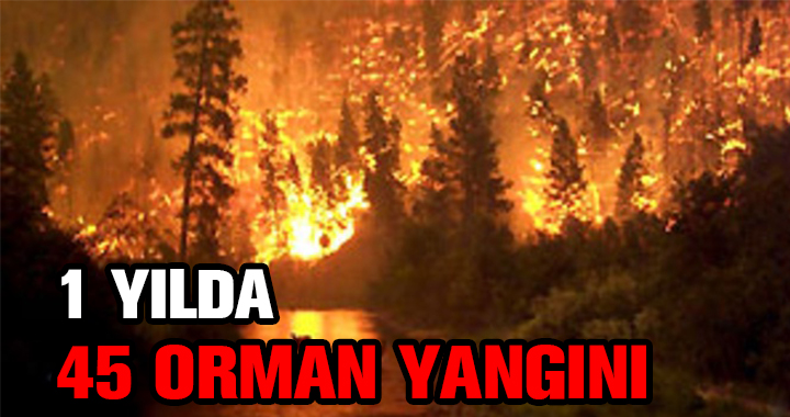 RAKAMLAR KORKUTUCU