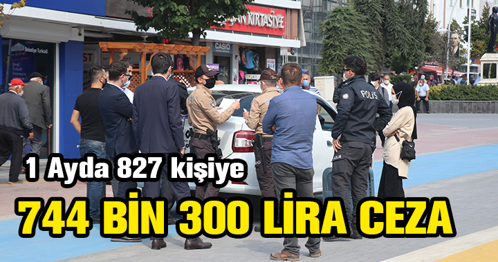 1 AYDA 744 BİN 300 LİRA CEZA
