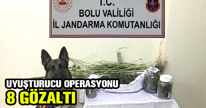 UYUŞTURUCU OPERASYONU : 8 GÖZALTI