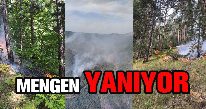 MENGEN YANIYOR