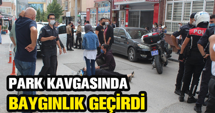 PARK KAVGASINDA BAYGINLIK GEÇİRDİ
