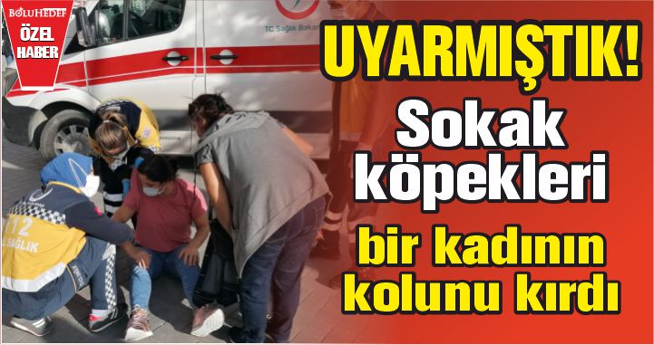 UYARMIŞTIK; SOKAK KÖPEKLERİ BİR KADININ KOLUNU KIRDI