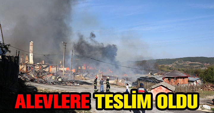 ALEVLERE TESLİM OLDU