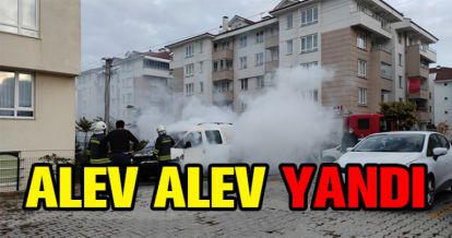 ALEV ALEV YANDI