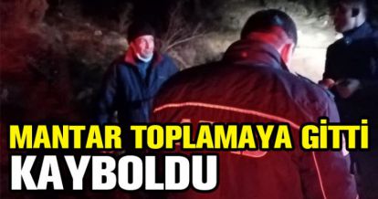 MANTAR TOPLAMAYA GİTTİ KAYBOLDU