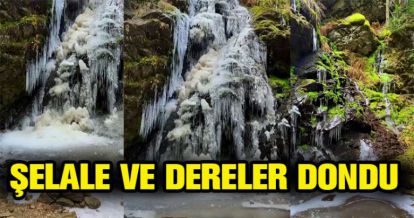 ŞELALE VE DERELER DONDU
