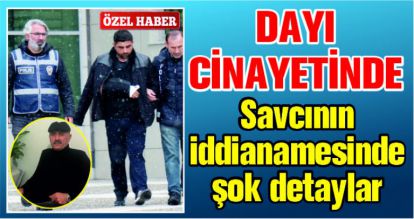 Dayı cinateyinde, Savcının iddianamesinde şok detaylar