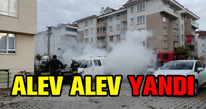 ALEV ALEV YANDI