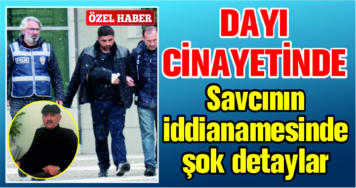 Dayı cinateyinde, Savcının iddianamesinde şok detaylar