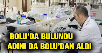 BOLU'DA BULUNDU