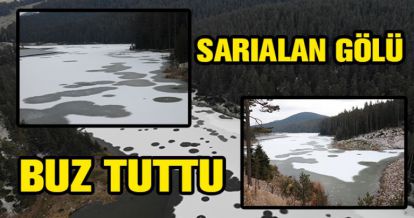 BUZ TUTTU