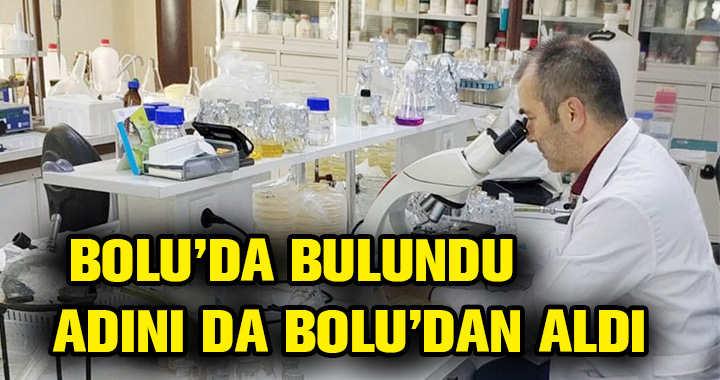 BOLU'DA BULUNDU