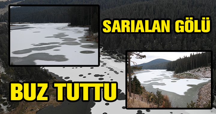 BUZ TUTTU