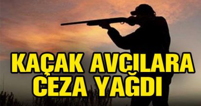 KAÇAK AVCILARA CEZA YAĞDI