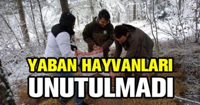 UNUTULMADILAR