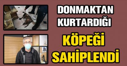 7 SAAT BOYUNCA YAVRU KÖPEĞİ ISITTI