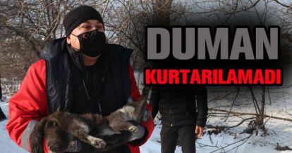 DUMAN KURTARILAMADI