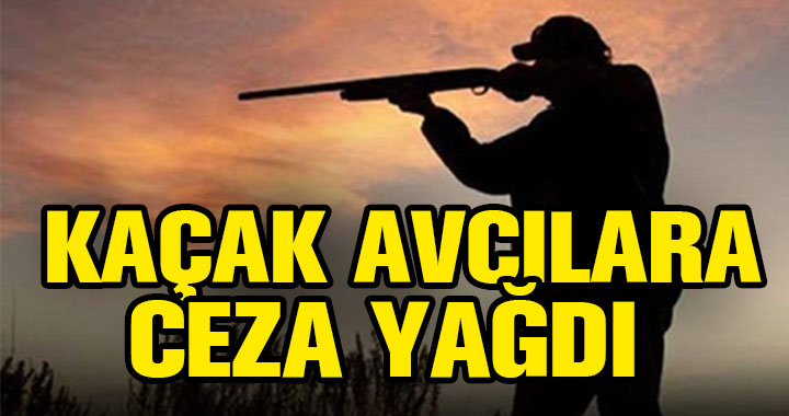 KAÇAK AVCILARA CEZA YAĞDI