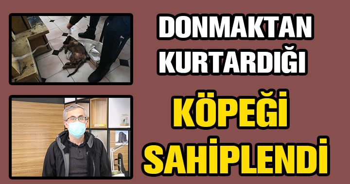 7 SAAT BOYUNCA YAVRU KÖPEĞİ ISITTI