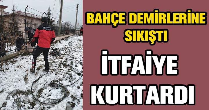 SIKIŞAN KÖPEK KURTARILDI
