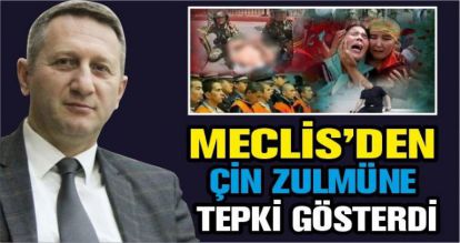 HAKAN ALPASLANDAN ÇİN ZULMÜNE TEPKİ