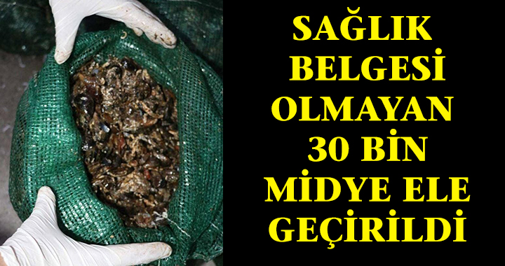SAĞLIK BELGESİZ 30 BİN MİDYE