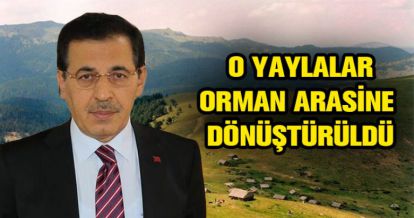 İKİ YAYLA ORMAN ARAZİSİNE DÖNÜŞTÜRÜLDÜ