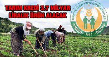 TARIM KREDİ 3.7 MİLYAR ÜRÜN ALIYOR
