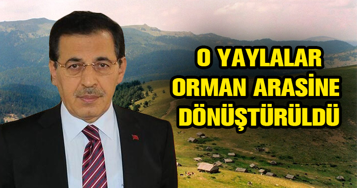 İKİ YAYLA ORMAN ARAZİSİNE DÖNÜŞTÜRÜLDÜ