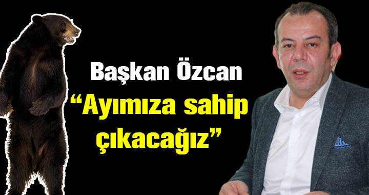 10 METRELİK AYI HEYKELİ YAPILACAK