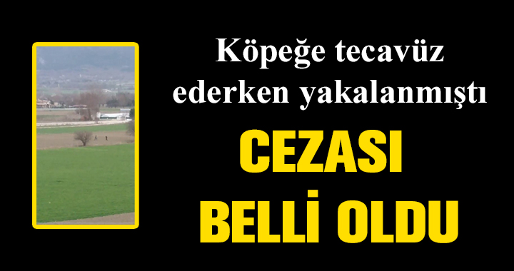 CEZASI BELLİ OLDU