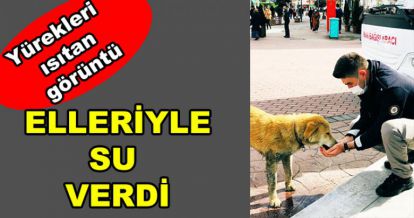 SOKAK HAYVANLARINI ELLERİYLE BESLEDİLER