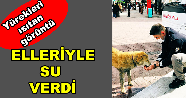 SOKAK HAYVANLARINI ELLERİYLE BESLEDİLER