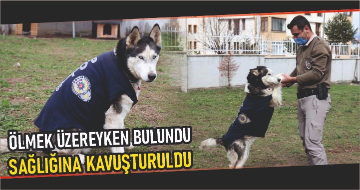 DOST EMNİYETİN MASKOTU OLDU