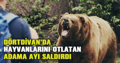Ayıların saldırdığı vatandaş yaralı kurtuldu