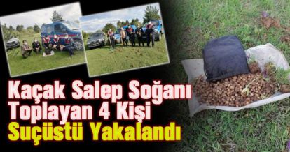 Kaçak salep soğanı toplayan 4 kişiye 321 bin 860 lira ceza