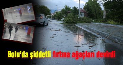 Bolu'da şiddetli fırtına ağaçları devirdi