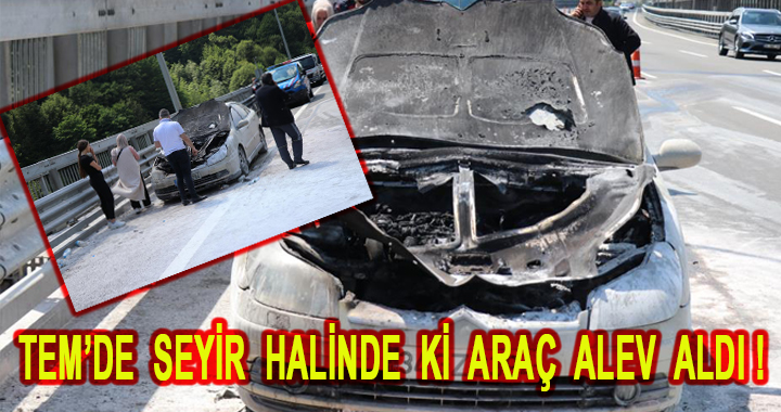 TEM’de seyir halindeyken yanan otomobil kullanılamaz hale geldi