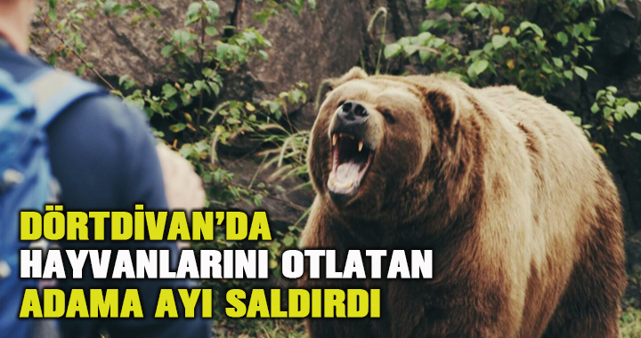 Ayıların saldırdığı vatandaş yaralı kurtuldu