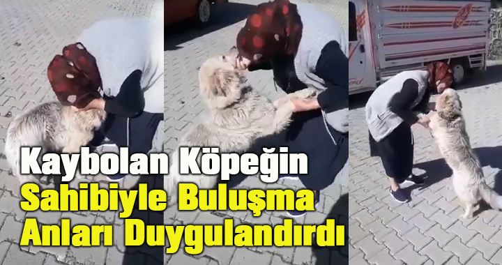 Şerife teyzenin Kibar ismini verdiği köpeğiyle buluşma anları duygulandırdı.